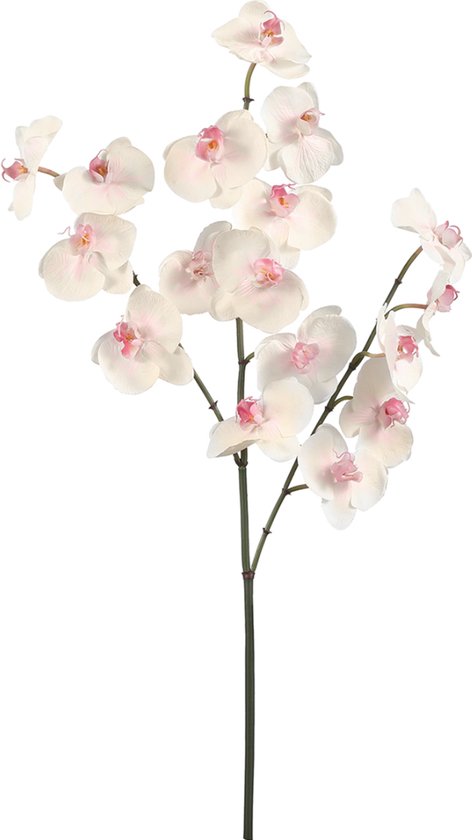 Roze en witte phalaenopsis kunstorchideestam H66