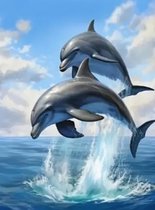 Diamond painting dolfijnen 30x40 ronde steentjes
