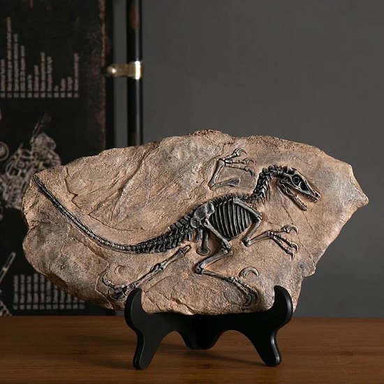 Foto: Decoratief t rex fossiel dinosaurus beeldje 30cm breed gemaakt van resin