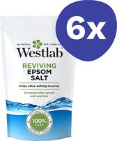 Westlab Verzachtend & Detoxifying Epsom Zout (6x 1kg)