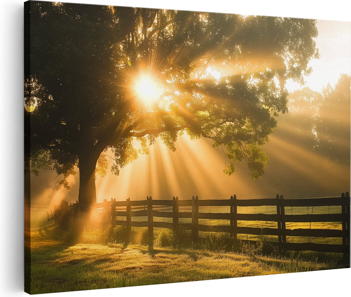 Artaza Canvas Schilderij Zonnestralen door een Boom in een Veld - 30x20 cm - Klein - Wanddecoratie Woonkamer - Schilderijen - Muurdecoratie