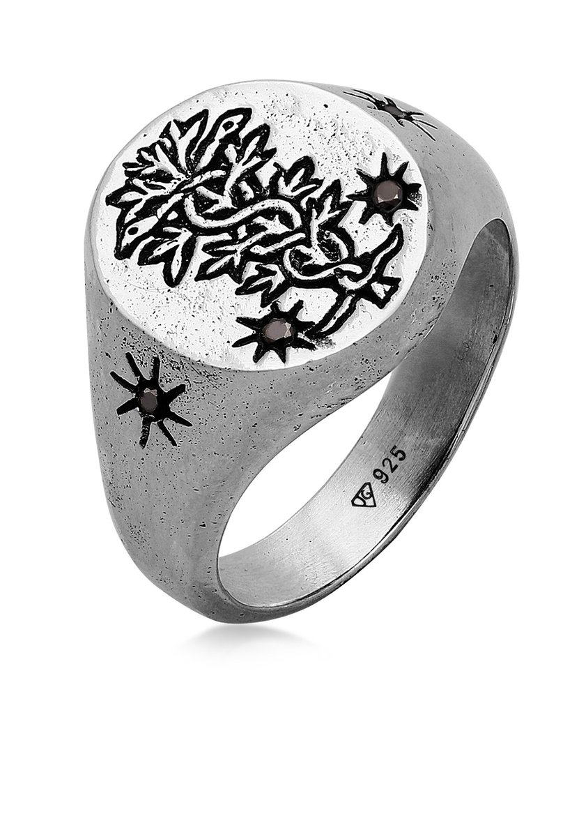 Haze & Glory - Ring - HG HAZE & GLORY - Ring voor Heren in 925 sterling zilver, sieraden voor heren, geoxideerde zilveren ring, met zirkonia, mythologie, tegengif - Heren