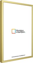 Aluminium Wissellijst 24x30 Mat Champagne Goud - Helder Glas - Professional