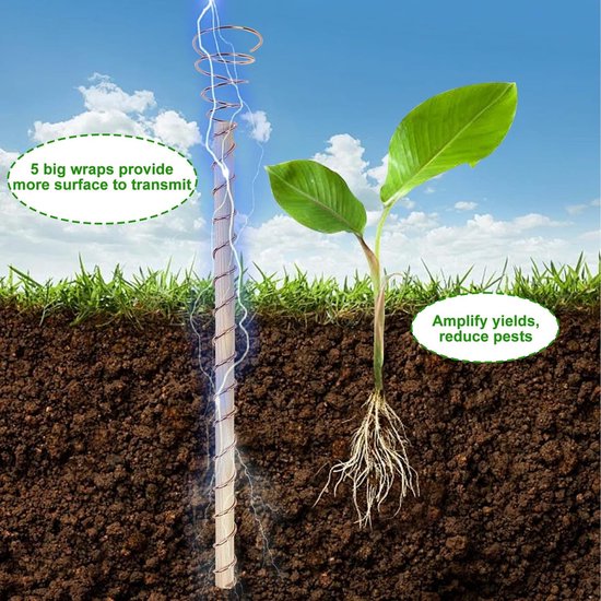 Lot De 4 Fixateurs Et 8 Collecteurs De Branches Pour Plantes – Cadre En Fer Doré, Collecteurs En Plastique Vert – Support Jardin Et Croissance