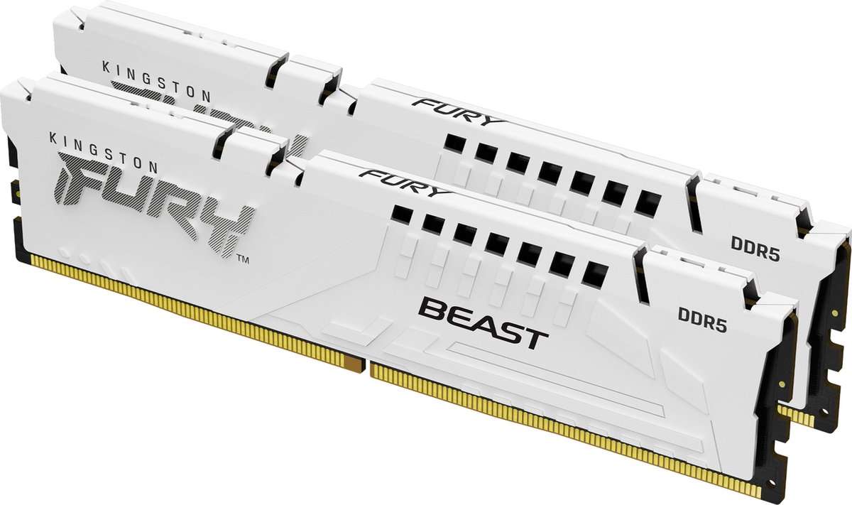 Kingston Technology FURY Beast 64GB 6000MT/s DDR5 CL30 DIMM (Kit of 2) White EXPO