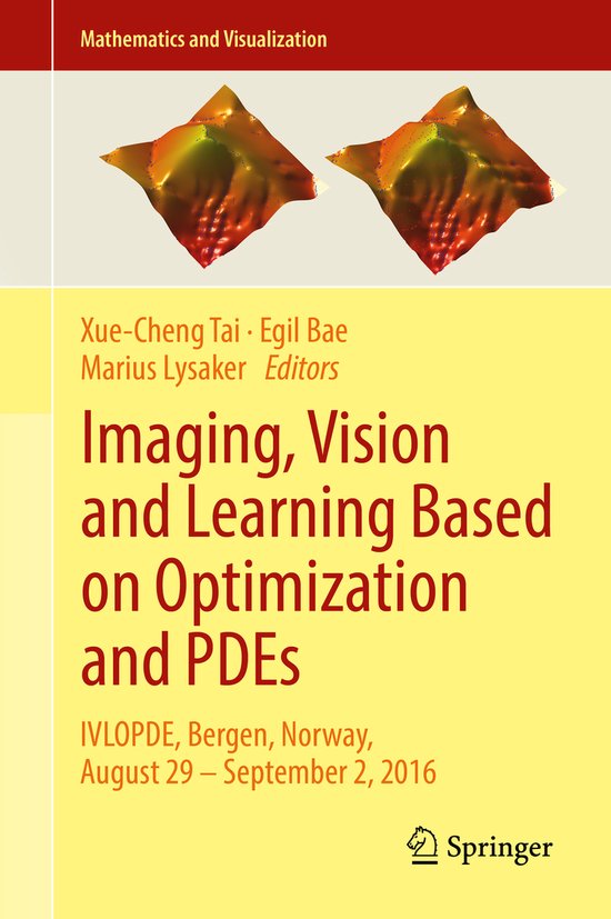 Mathematics and Visualization- Imaging, Vision and Learning Based on ...