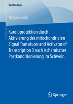 Kardioprotektion durch Aktivierung des mitochondrialen Signal Transducer and Act