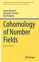 Grundlehren der mathematischen Wissenschaften- Cohomology of Number Fields