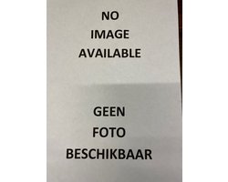 Omslag van Ruisend gruis - Grote letter uitgave