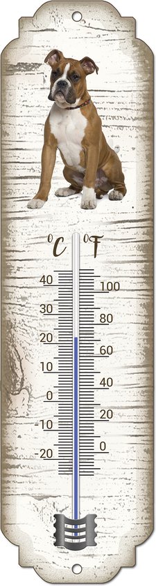 Thermomètre extérieur avec imprimé d'un boxer assis sur fond en bois blanc, échelle en Celsius et Fahrenheit.