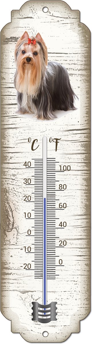 Thermometer: York | Hondenras | Temperatuur binnen en buiten | -25 tot +45C