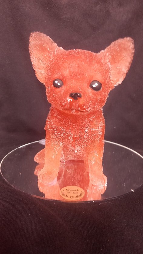starwolf, beeldje chihuahua met ledverlichting, bruin, geschenk, decoratie