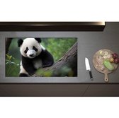 Inductieplaat Beschermer - Aankijkende Panda op Boomstam in het Bos - 90x50 cm - 2 mm Dik - Inductie Beschermer - Bescherming Inductiekookplaat - Kookplaat Beschermer van Zwart Vinyl