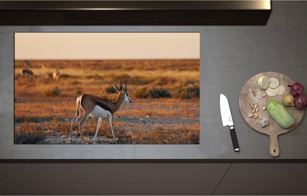 Inductieplaat Beschermer - Achterkant van Antilope in Landschap, Afrika - 90x55 cm - 2 mm Dik - Inductie Beschermer - Bescherming Inductiekookplaat - Kookplaat Beschermer van Wit Vinyl