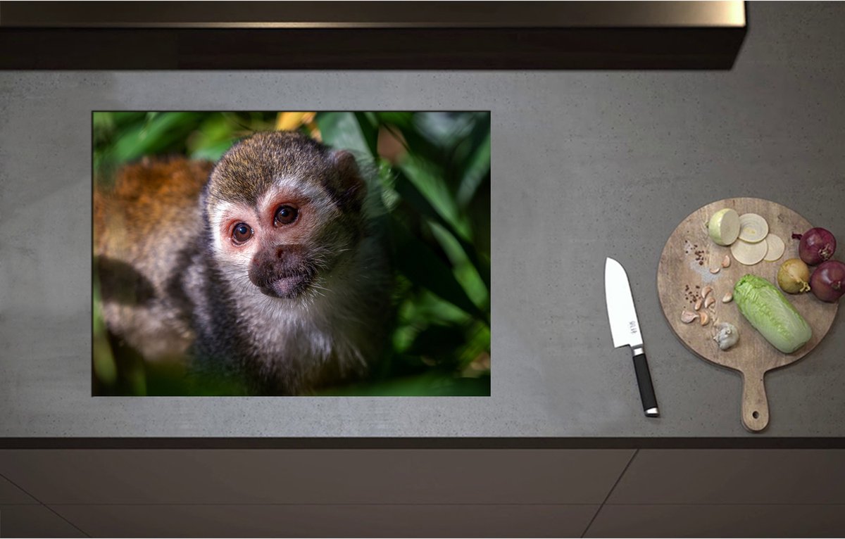 Inductieplaat Beschermer - Aankijkende Eekhoorn Aap tussen de Groene Begroeiing - 71x51 cm - 2 mm Dik - Inductie Beschermer - Bescherming Inductiekookplaat - Kookplaat Beschermer van Zwart Vinyl