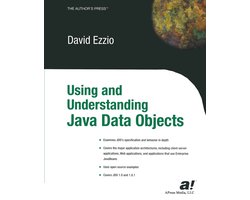 Using and Understanding Java Data Objects