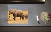 Inductieplaat Beschermer - Afrikaanse Olifant met Baby Olifantje - 60x55 cm - 2 mm Dik - Inductie Beschermer - Bescherming Inductiekookplaat - Kookplaat Beschermer van Wit Vinyl