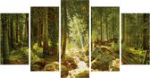 Schipper Peinture par Numéros - Notre Forêt (Polypt.)