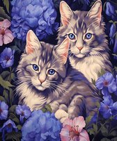 Schilderen op nummer Volwassenen - Katten / poezen - 40 x 50 centimeter - Paint by numbers - Verven - Volwassenen - Cadeau voor man en vrouw