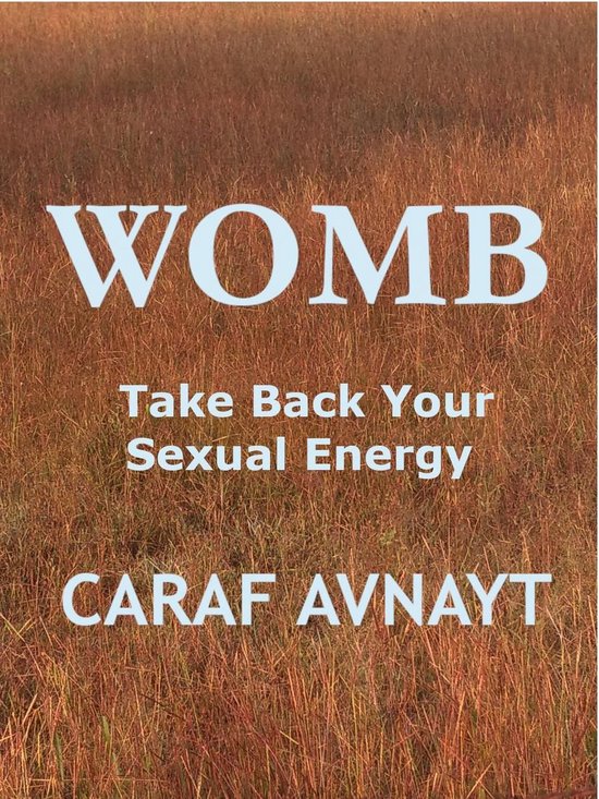 WOMB - Take Back Your Sexual Energy - cover