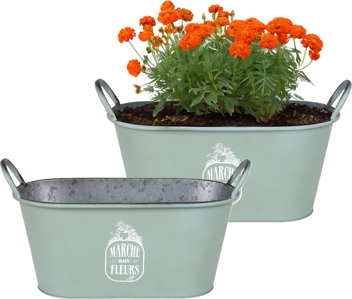 Goedkoopste Sunnydays Teil/plantenpot/bloempot - 2x - zink - jadegroen - L39 x B16 x H21 cm