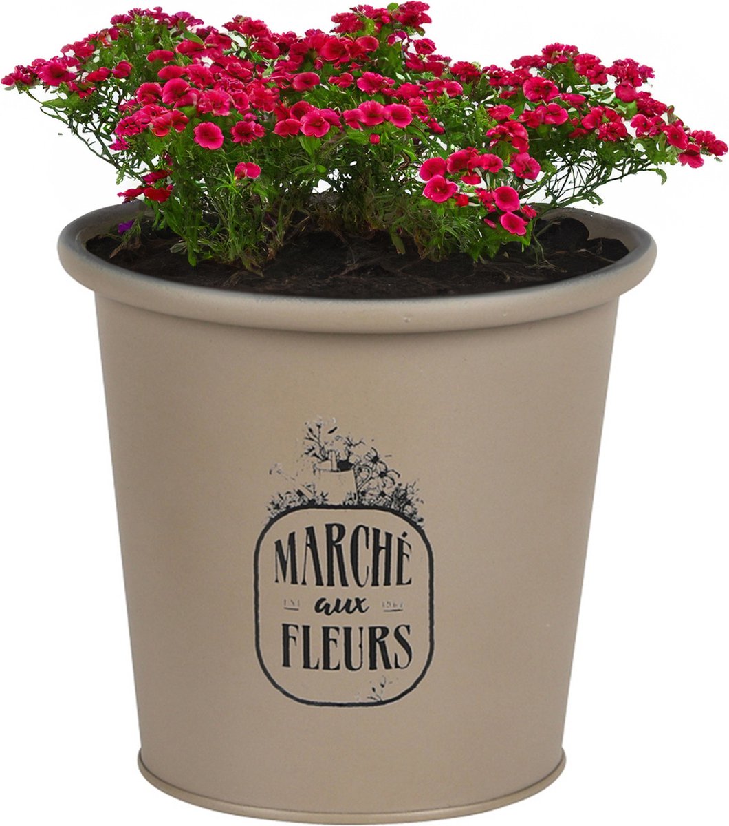 Goedkoopste Sunnydays /plantenpot/bloempot - zink - taupe - D14 x H13 cm