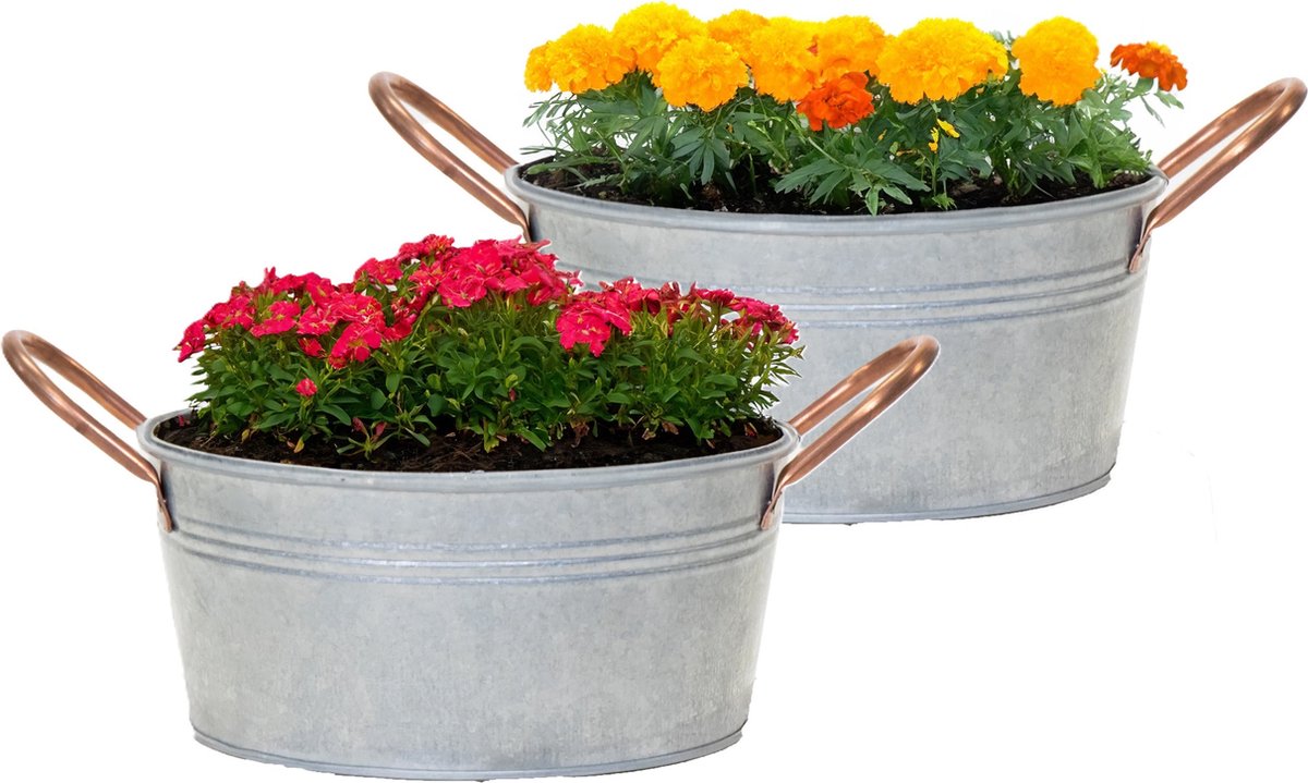 Goedkoopste Mega Collections Teil/plantenpot/bloempot Jean - 2x - zink - zilver - D27 X H13 cm
