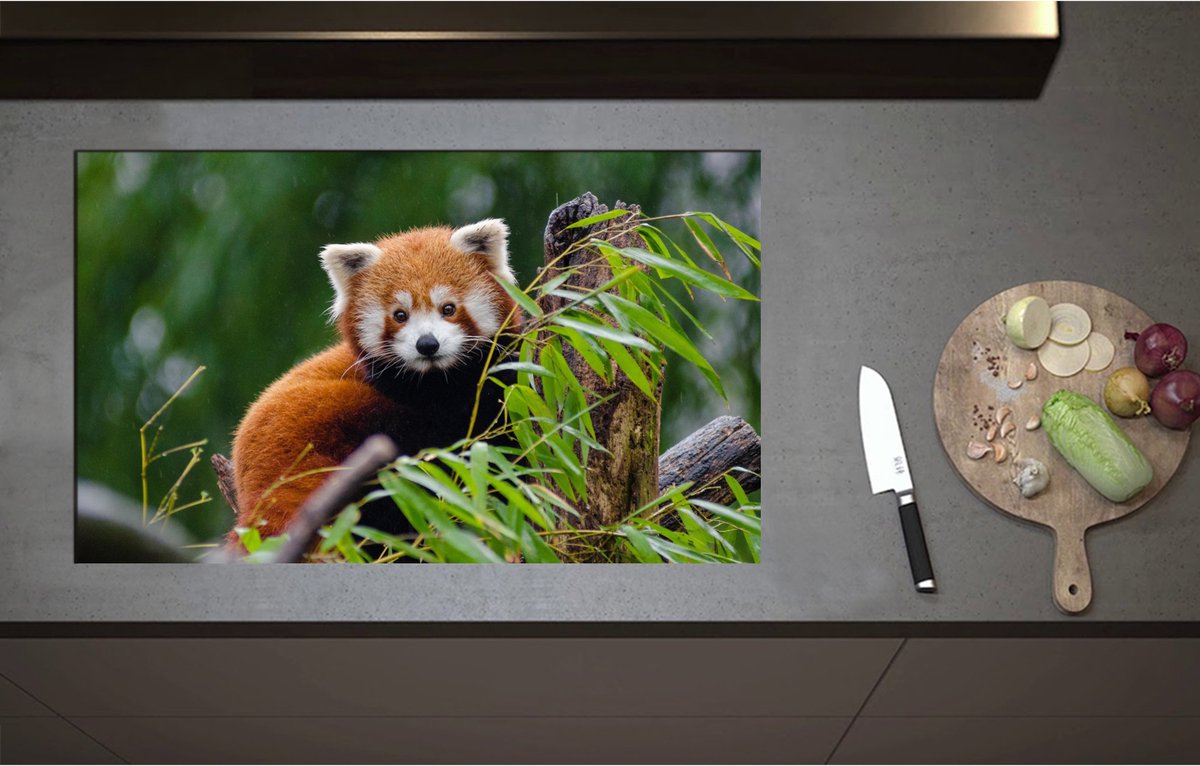 Inductieplaat Beschermer - Aandoenlijke Rode Panda op Boomstam met Groene Planten - 85x52 cm - 2 mm Dik - Inductie Beschermer - Bescherming Inductiekookplaat - Kookplaat Beschermer van Zwart Vinyl