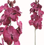 PTMD paarse Orchidee - Orchid Flower purple cymbidium - 80 cm
