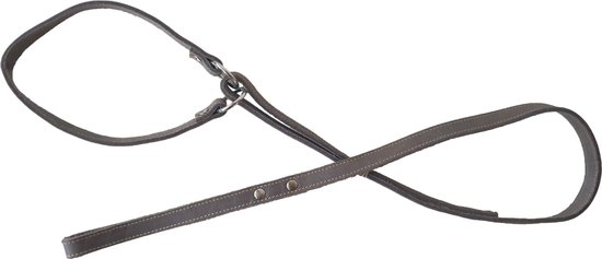 Jack and Vanilla Sliplijn / 2-in-1 Half Choke halsband met riem - Gevet ...