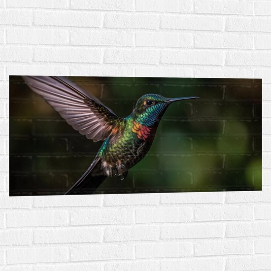 Muursticker - Vogel - Kleuren - Dier - Vliegen - Natuur - 100x50 cm Foto op Muursticker