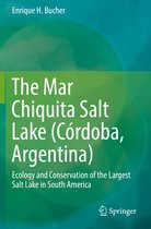 The Mar Chiquita Salt Lake Cordoba Argentina