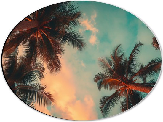 Dibond Ovaal - Palmbomen - Tropisch - Onderaanzicht - 40x30 cm Foto op Ovaal (Met Ophangsysteem)