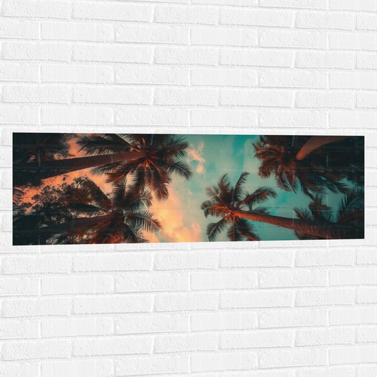 Muursticker - Palmbomen - Tropisch - Onderaanzicht - 120x40 cm Foto op Muursticker