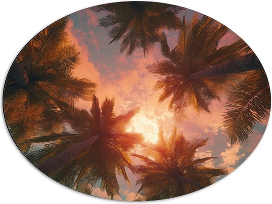 Dibond Ovaal - Palmbomen - Kleuren - Onderaanzicht - Zon - 80x60 cm Foto op Ovaal (Met Ophangsysteem)