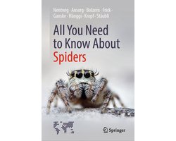 All You Need to Know About Spiders