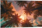Acrylglas - Palmbomen - Kleuren - Onderaanzicht - Zon - 90x60 cm Foto op Acrylglas (Met Ophangsysteem)