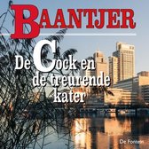 De Cock en de treurende kater