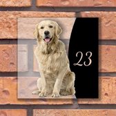 Naambordje voordeur - Golden retriever - 15x15cm - Plexiglas (transparant) - zonder afstandhouders/borgaten | Vierkant, variant #26 - naambordjes - naambordje voordeur met huisnummer - naambordje huisnummer - hond