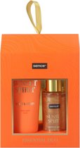 Sence Collection Essential Self Tanning Duo Set Solar Energy 1 set