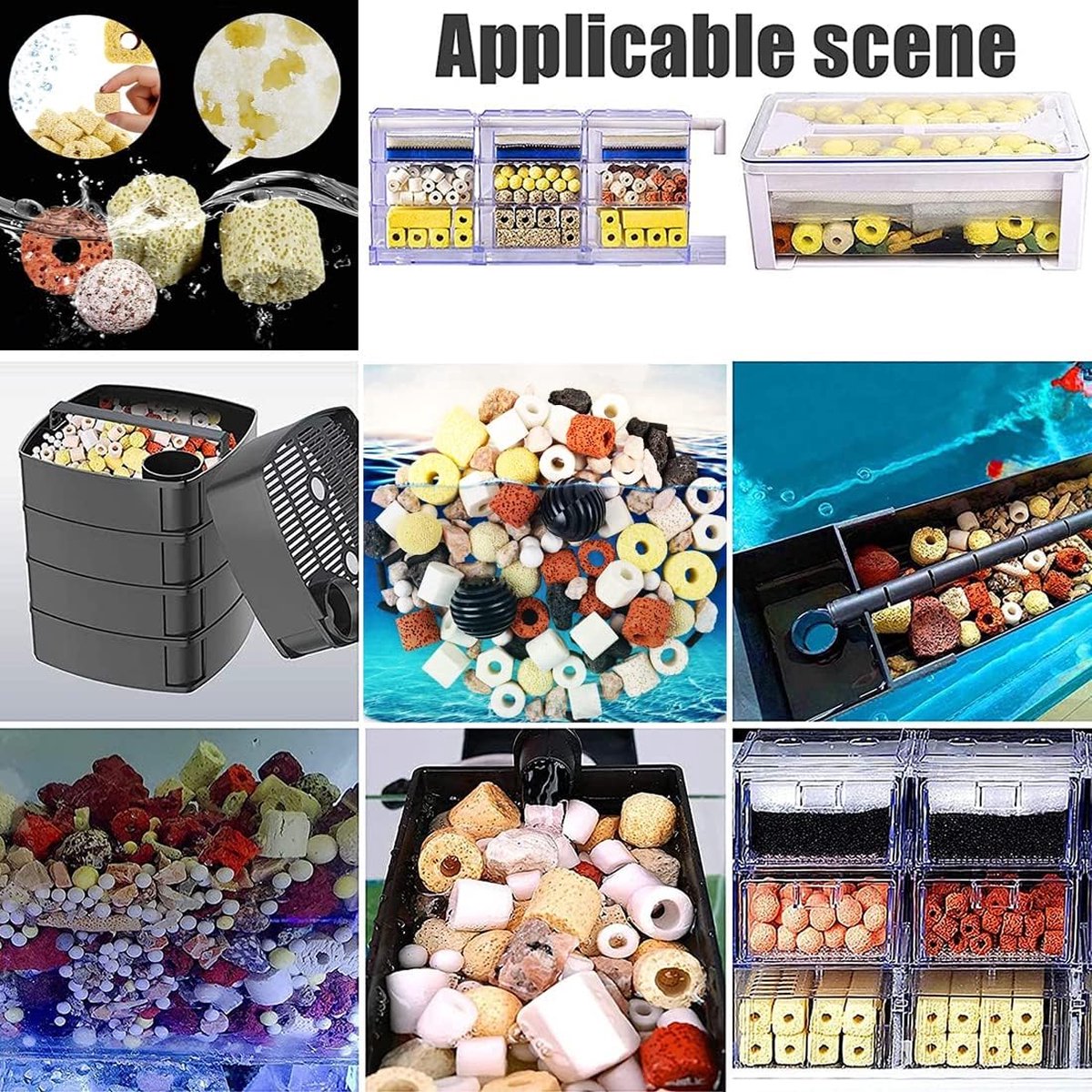 656369_9