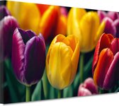 Tulpen wanddecoratie - Bloemen schilderij - Canvas schilderij Bladeren - Vintage schilderij - Schilderijen canvas - Wanddecoratie 60x40 cm