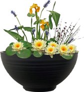vdvelde.com - Mini Vijver Schaal met Planten Set - Geel - Voor 25 - 100 L - Complete mini vijverset - Plaatsing: -10 tot -20 cm