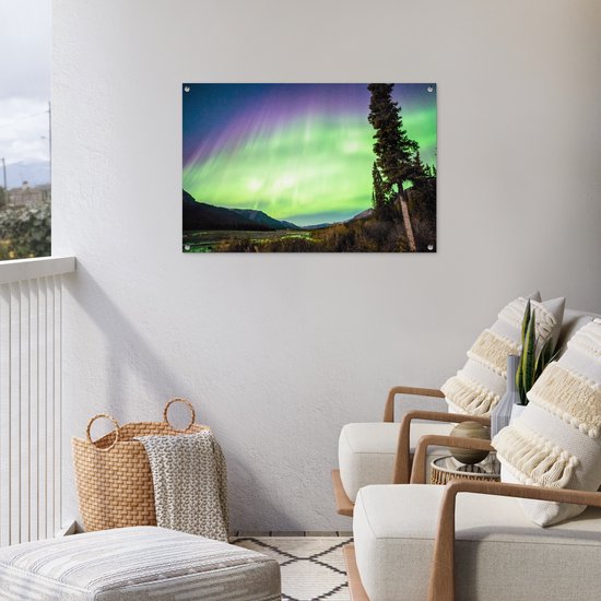 Posters de jardin Aurores Boréales - Arbre - Berg - Nature - 90x60 cm