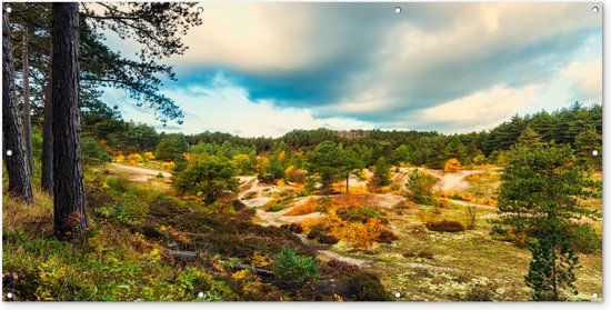 Foto: Schuttingposter vallei bij schoorl in de duinen 200x100 cm tuindoek schuttingposter vallei bij schoorl in de duinen 200x100 cm tuindoek