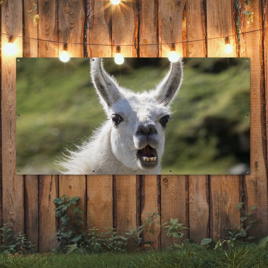 Affiche de clôture Lama - Drôle - Enfants - Garçons - Filles - Kids - 200x100 cm - Toile de jardin