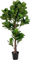 House Nordic Kunstplant Fiddle Leaf Boom 190cm