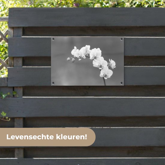 Décoration de jardin Orchidée - Fleurs - Plante - Wit - Violet - 60x40 cm - Poster jardin - Toile jardin - Poster extérieur