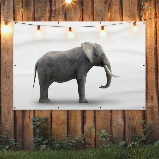 Décoration murale Eléphant sur fond blanc - 180x120 cm - Poster jardin - Toile jardin