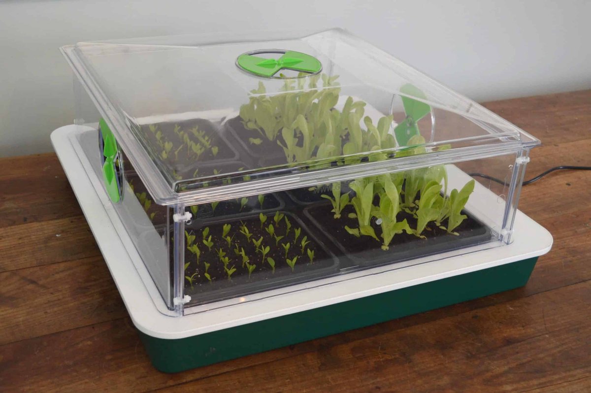 Propagator Vitopod 50W verwarmd met thermostaat en 2 LED groeilampen - 24cm hoog (groen/witte bodem)